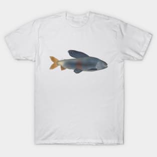 Upper Yenisei Grayling T-Shirt